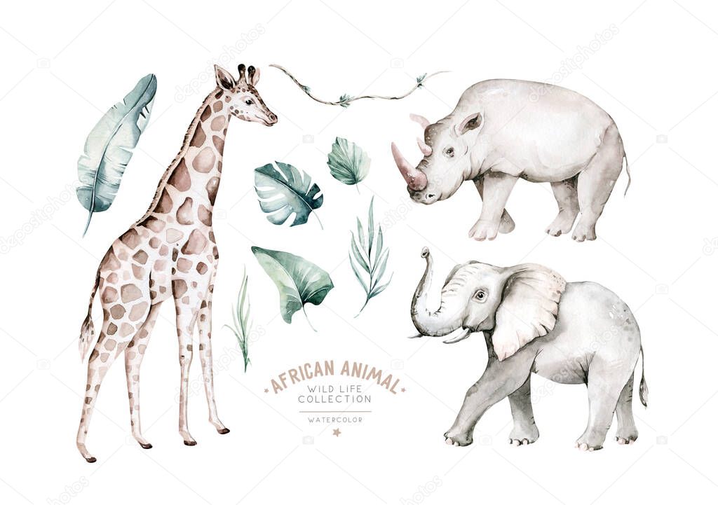 Watercolor frican elephant animal, giraffe andrhinoceros isolated on white background. Savannah rhipo wildlife cartoon zoo safari poster. Jungle decoration.