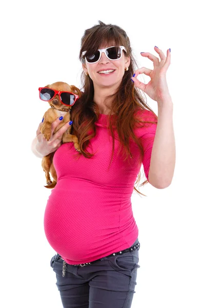 幸せで笑顔の妊婦9ヶ月サングラス 手に犬を保持し ロシアのおもちゃテリアの品種 ジェスチャーを表示します 白い孤立した背景に — ストック写真