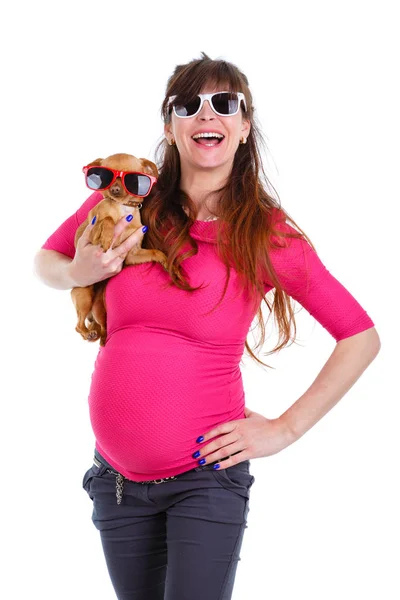 Счастливая Улыбающаяся Беременная Женщина Девять Месяцев Солнечных Очках Держать Собаку — стоковое фото