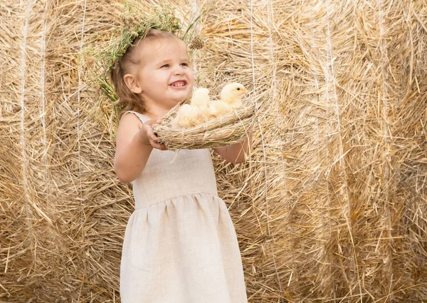 Счастливая девочка в льняном платье улыбается с пушистыми цыплятами в гнезде на сене. — стоковое фото