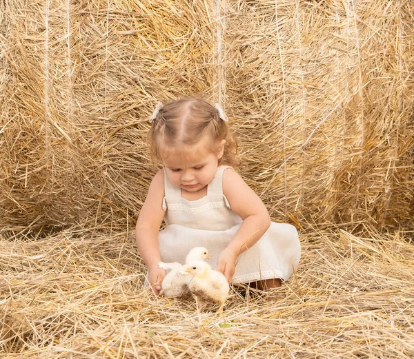 Счастливое детское постельное платье с пушистыми цыплятами, улыбающимися сидя на сене. — стоковое фото