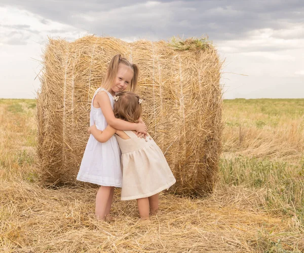 Две девушки обнимаются стоя на сене. — стоковое фото