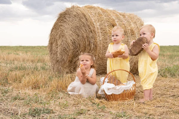 Два мальчика-близнеца и девочка едят хлеб на фоне сена в поле. экологически чистая сельскохозяйственная продукция. — стоковое фото