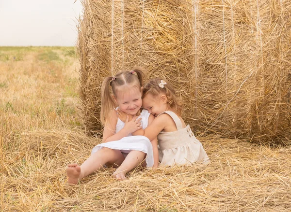 Две девушки обнимаются, сидя на сене. — стоковое фото