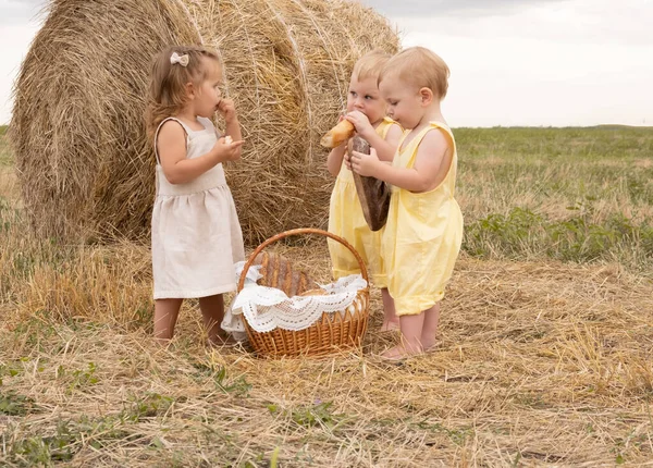 Два мальчика-близнеца и девочка едят хлеб на фоне сена в поле. Эко-продукт. зерновые продукты. — стоковое фото