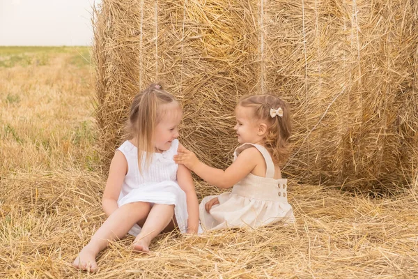 Две девушки обнимаются, сидя на сене. — стоковое фото