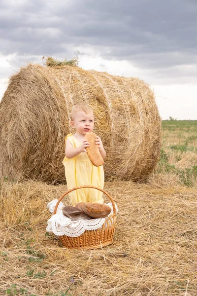 Маленький блондин стоит на поле с стогом сена, поедая багет.. — стоковое фото