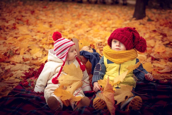 Les Petits Enfants Attirants Jouent Dans Parc Automne Jour Automne — Photo