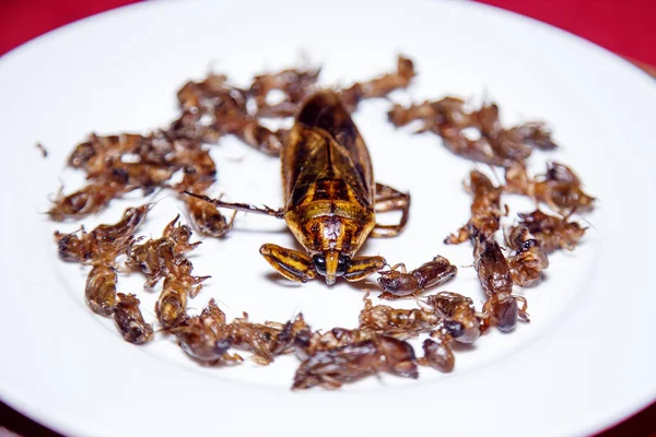 Los Insectos Fritos Plato Los Tentempiés Callejeros Siem Reap Camboya — Foto de Stock