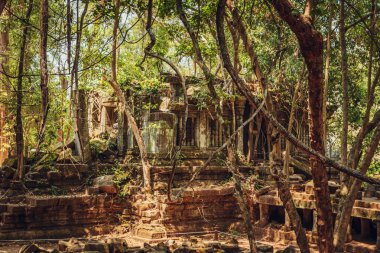Beng Mealea antik tapınak kalıntıları. Angkor, Siem Reap, Kamboçya.