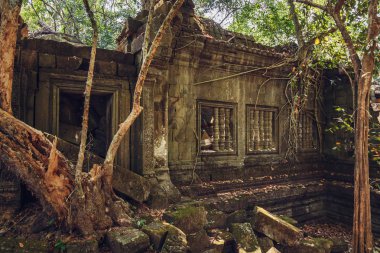 Beng Mealea antik tapınak kalıntıları. Angkor, Siem Reap, Kamboçya.