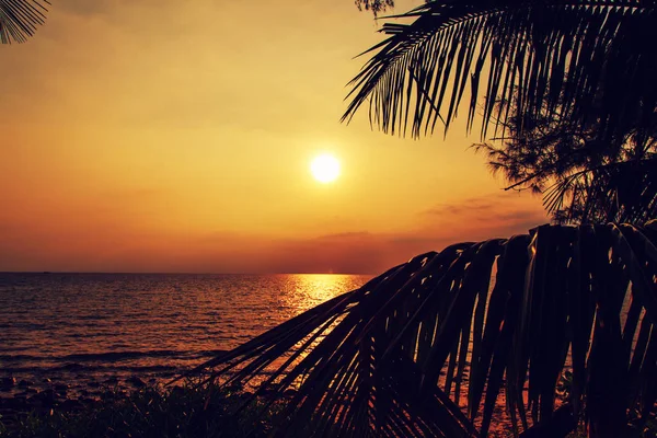Malerischer Sonnenuntergang Tropischen Strand Insel Kambodscha — Stockfoto
