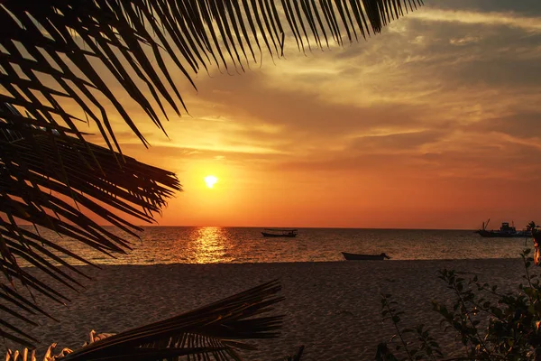 Malerischer Sonnenuntergang Tropischen Strand Insel Kambodscha — Stockfoto