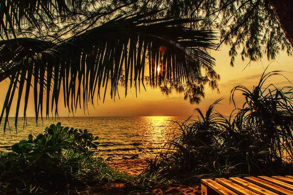 Malerischer Sonnenuntergang Tropischen Strand Insel Kambodscha — Stockfoto