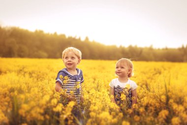 Gün batımında alanındaki komik çocuklar. Çocukluk, kaygısız ve sevinç kavramı. Seçici odak.