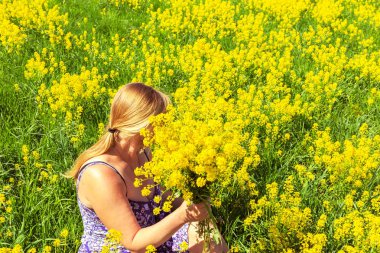Mutlu sarışın sarı bir alan doğada sahiptir. Güneşli gün.