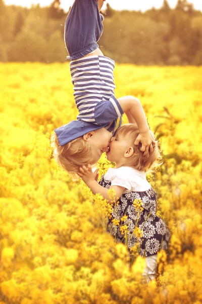 Les Enfants Drôles Embrassent Dans Champ Coucher Soleil Concept Enfance — Photo