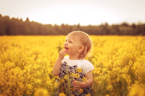 Linda Niñita Campo Atardecer Concepto Infancia Despreocupación Alegría Enfoque Selectivo — Foto de Stock