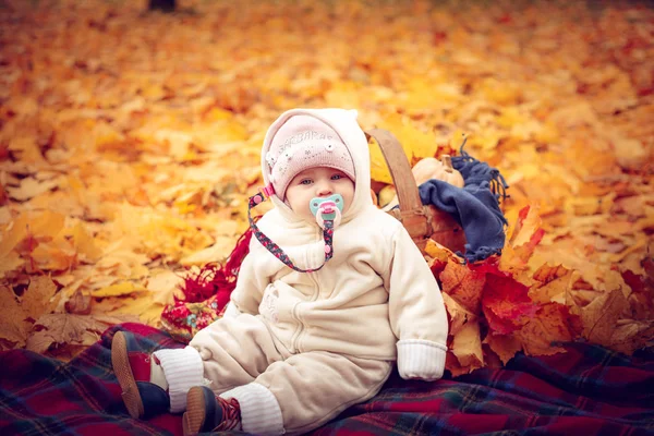 Little Attractive Baby Playing Autumn Park Warm Autumn Day — Stock Photo, Image