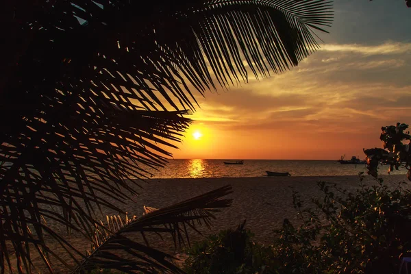 Malerischer Sonnenuntergang Tropischen Strand Insel Kambodscha — Stockfoto