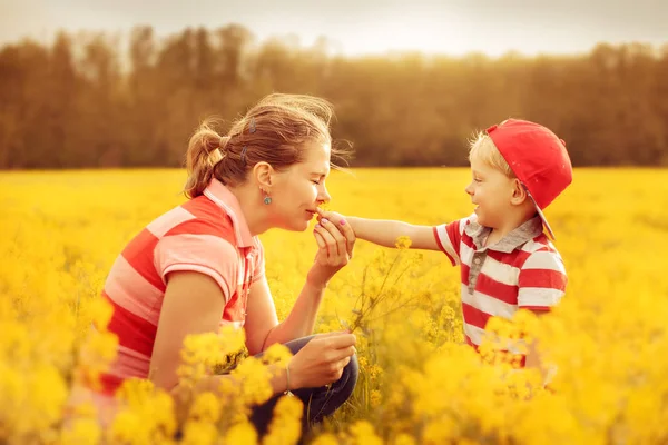 Lindo Niño Flores Madre Puesta Sol Campo Flores Enfoque Selectivo — Foto de Stock