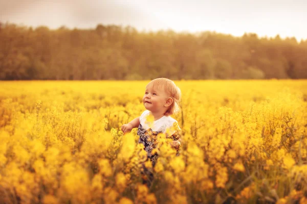 Sevimli Küçük Kız Bir Alanda Gün Batımında Çocukluk Kaygısız Sevinç — Stok fotoğraf