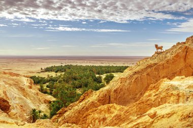 Dağ vahasının manzarası Chebika. Sahra Çölü, Tunus, Afrika.
