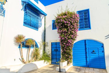 Beyaz-mavi şehir Sidi Bou Said, Tunus. Fransız tılsımlı Doğu Masalı.