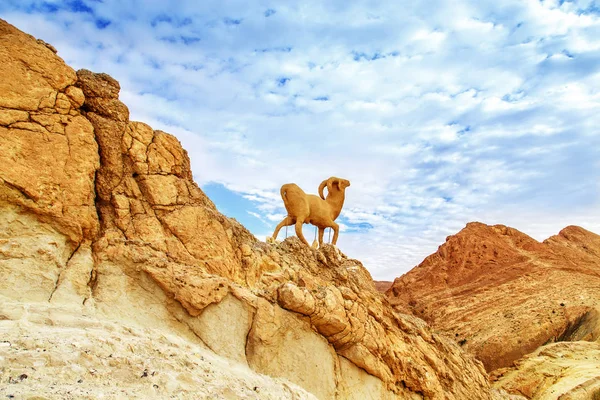 Scénický Pohled Horskou Oázu Chebika Sahara Desert Tunisko Afrika — Stock fotografie