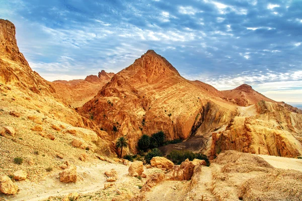 Scenic View Mountain Oasis Chebika Sahara Desert Tunisia Africa — Stock Photo, Image