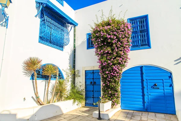 Bíle Modré Město Sidi Bou Said Tunisko Východní Pohádka Francouzským — Stock fotografie