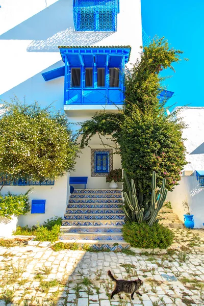 Cidade Azul Branca Sidi Bou Said Tunísia Conto Fadas Oriental — Fotografia de Stock