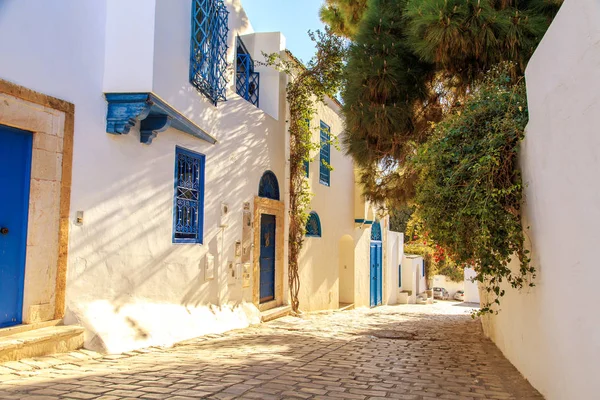 Beyaz-mavi şehir Sidi Bou Said, Tunus. Fransız tılsımlı Doğu Masalı.