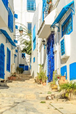 Beyaz-mavi şehir Sidi Bou Said, Tunus. Fransız tılsımlı Doğu Masalı.
