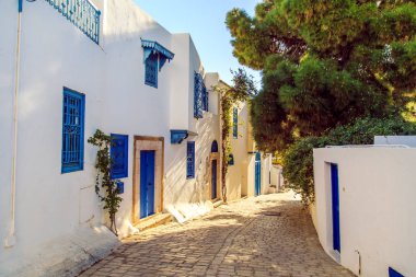 Beyaz-mavi şehir Sidi Bou Said, Tunus. Fransız tılsımlı Doğu Masalı.