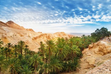 Dağ vahasının manzarası Chebika. Sahra Çölü, Tunus, Afrika.