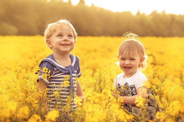 Niños Graciosos Campo Atardecer Concepto Infancia Despreocupación Alegría Enfoque Selectivo — Foto de Stock