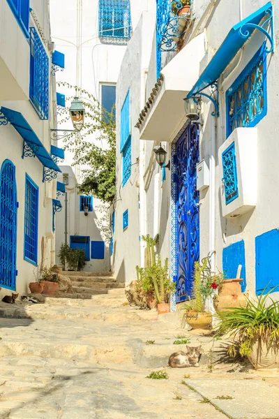 Città Bianco Blu Sidi Bou Said Tunisia Fiaba Orientale Con — Foto Stock