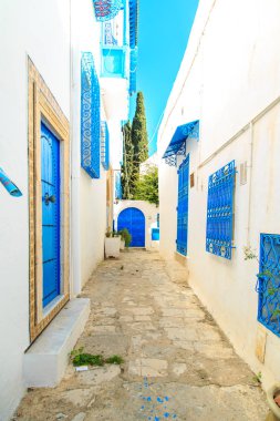 Beyaz-mavi şehir Sidi Bou Said, Tunus. Fransız tılsımlı Doğu Masalı.