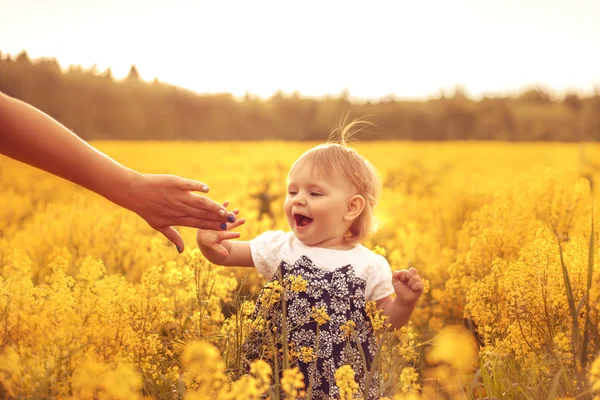 Una Chica Graciosa Campo Atardecer Concepto Infancia Despreocupación Alegría Enfoque — Foto de Stock