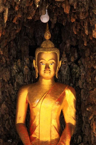 Altın Buddha Statue Budist Tapınağı Bangkok Tayland — Stok fotoğraf