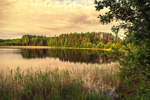 Amanecer Lago Paisaje Con Bosque Lago — Foto de Stock