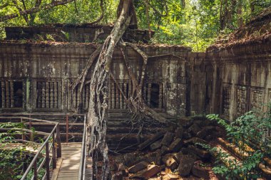 Beng Mealea antik tapınak kalıntıları. Angkor, Siem Reap, Kamboçya.