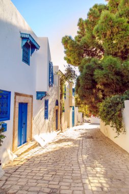 Beyaz-mavi şehir Sidi Bou Said, Tunus. Fransız tılsımlı Doğu Masalı.