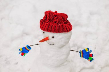 Bir kış parkta komik kardan adam. Çocukluk ve kış sembolü.