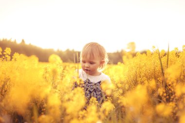 Gün batımında alanındaki komik kız. Çocukluk, kaygısız ve sevinç kavramı. Seçici odak.