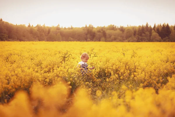 Gün batımında alanındaki komik çocuklar. Çocukluk, kaygısız ve sevinç kavramı. Seçici odak.