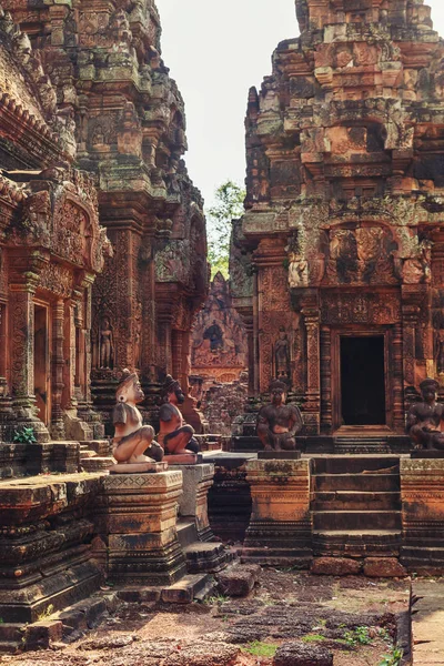  Banteay Srey - pembe kumtaşı benzersiz Tapınağı. Angkor, Siem Reap, Kamboçya.