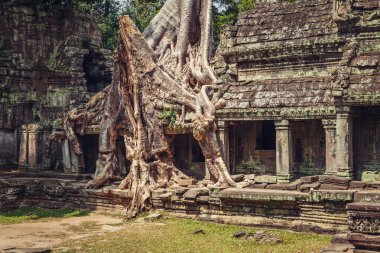 Antik ve görkemli tapınak Preah Khan'ın. Büyük Daire Angkor, Siem Reap, Kamboçya.