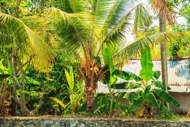 Alleppey kanallar günlük yaşam. Devlet Kerala, Güney Hindistan - 2 Nisan 2017.